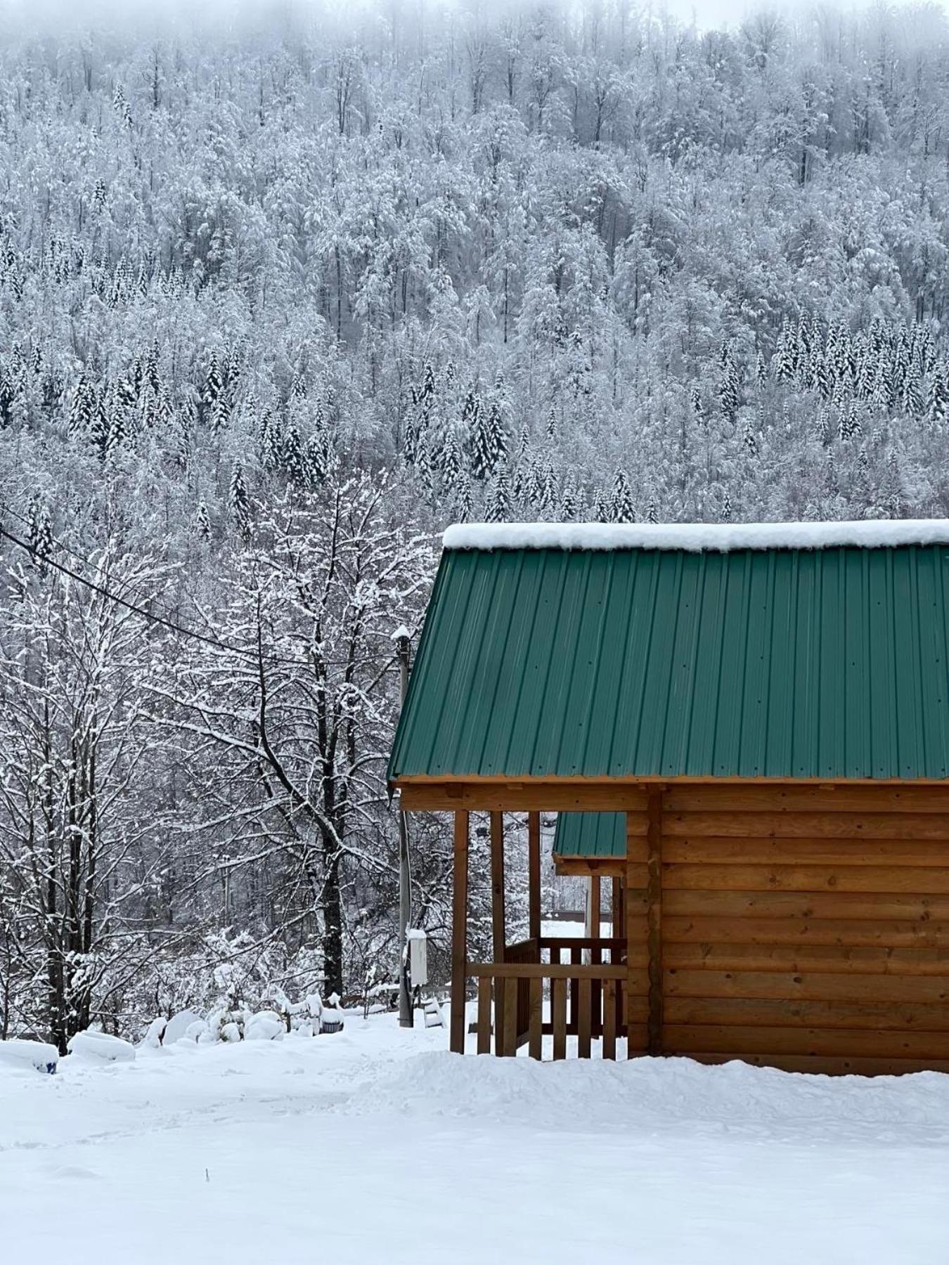 Matesevo Guest Hauses Villa Kolasin Luaran gambar