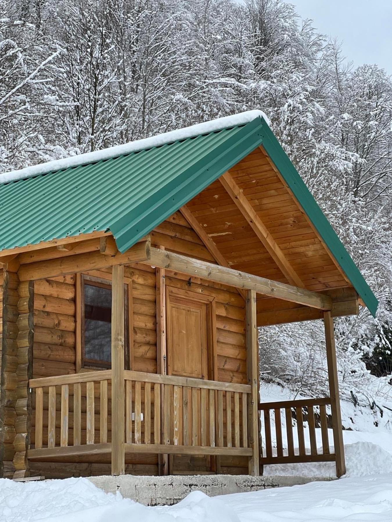 Matesevo Guest Hauses Villa Kolasin Luaran gambar